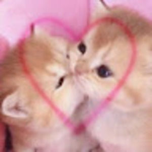 Meet your Posher, Amira